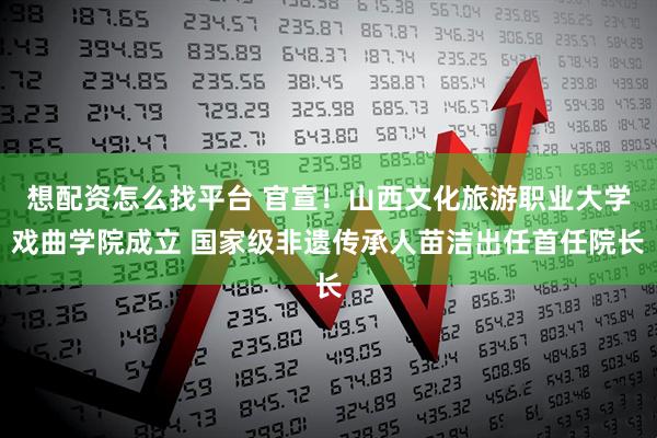 想配资怎么找平台 官宣！山西文化旅游职业大学戏曲学院成立 国家级非遗传承人苗洁出任首任院长